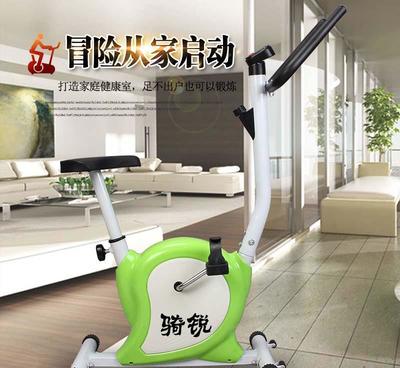 廠家直銷騎銳動(dòng)感單車 家用健身靜音室內(nèi)運(yùn)動(dòng)織帶車 健身車新款
