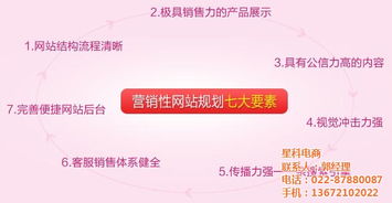 東麗網站建設 做網站就找天津星科電商 天津網站建設系統