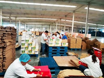 打響“618電商 備貨戰”,匯源開啟年中大促狂歡