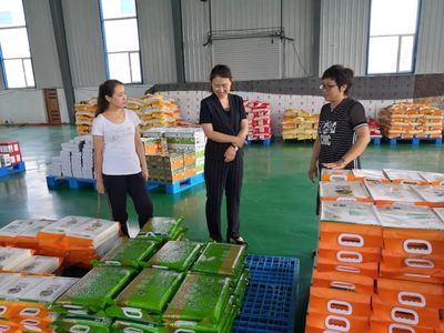 推動“五轉”|團市委開展農村青年電商發展大調研(四)