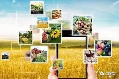 農業電商的概念界定與重要意義-當前農業電商的進展與問題、上