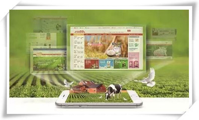 淺析我國農業電商產業發展