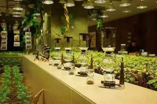 未來5年新農業十大發展趨勢,不可錯過的高科技現代化農場