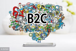 三個步驟教你成功地開展b2c電子商務