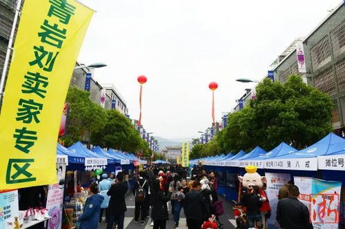 鄉(xiāng)土澎湃新動能 浙江以互聯(lián)網(wǎng) 助力鄉(xiāng)村振興