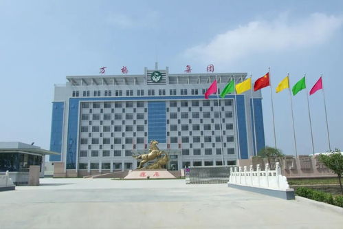 恭喜 我市2家企業(yè)入選2020青島市民企百?gòu)?qiáng)