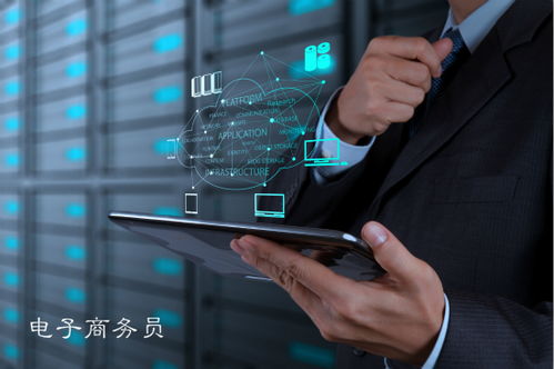 職位分析 電子商務(wù)員