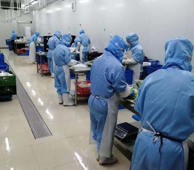 王印--“一棵菜”成就三產(chǎn)融合