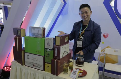 2016中國杭州國際電子商務博覽會盛大開幕