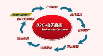 B2C電子商務的盈利模式探析