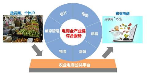 要定位,更要落地:縣域農業電商“麻陽模式”初探