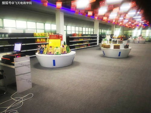 湟源城關鎮玉珍唐卡店與大藏印象披肩店入駐電子商務孵化園，助推本地產業升級