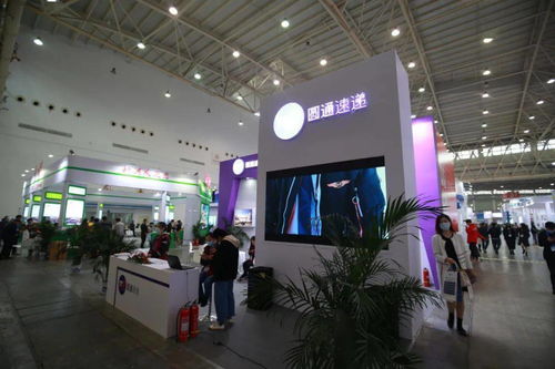 2020第六屆武漢國際電子商務暨互聯網產業博覽會盛大開幕